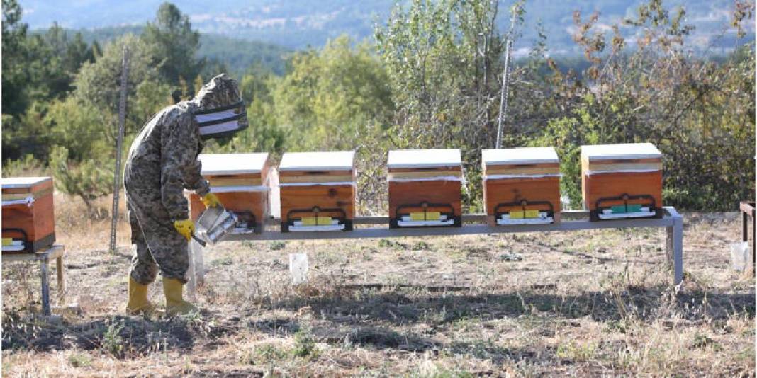 İstanbul’dan yola çıkıyor 900 km gidiyor! Arıları için vazgeçmiyor: Bakımlarını ihmal etmiyor 2